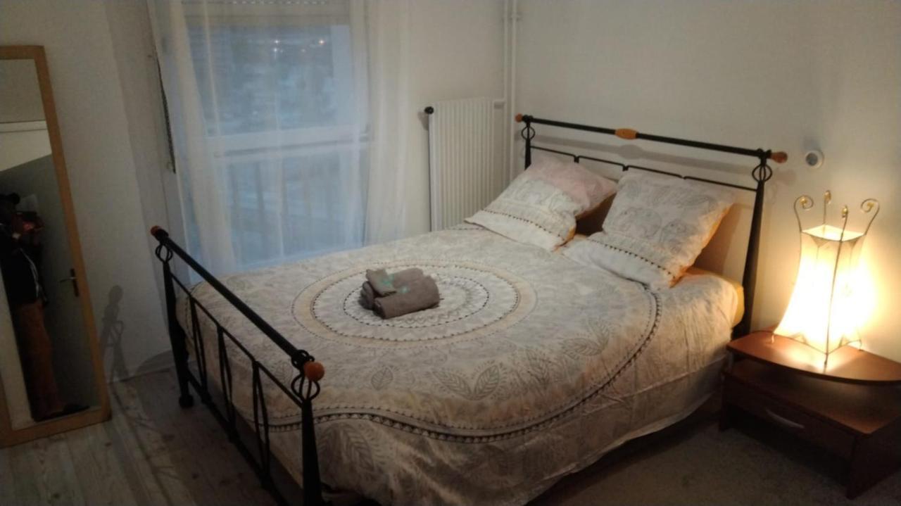 Appartamento Chez Bernadette Vandoeuvre-lès-Nancy Esterno foto